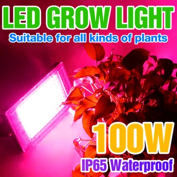 Led Grow Light Теплица Фито Лампа Завод Прожекторы Водонепроницаемый 100 Вт Гидропоника Лампы Для Выращивания Рассады Цветов В Помещении Расти Палатка