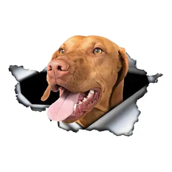 Наклейки На Стену Для Собак Водонепроницаемые 3D Наклейки С Реалистичными Собаками Водонепроницаемые Наклейки С Реалистичными Собаками Для Детского Сада Автомобильная Шпилька