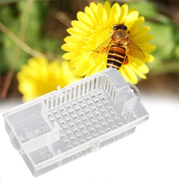 Транспортные Клетки Для Пчеловодства Белая Пчелиная Матка Почтовая Клетка Пластиковый Король Заключенный Клетка Для Пчелиной Матки Инструменты Для Пчеловодства